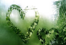 [德甲]德甲非洲球员历史五佳球.