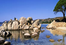 江南体育:40分狂胜,2分险胜!西部豪门逆天改命,请神容易送神难啊.